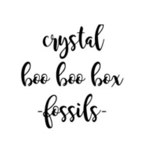 Crystal Boo Boo Box Fossils. Fossil shells and bone and teeth fragments.